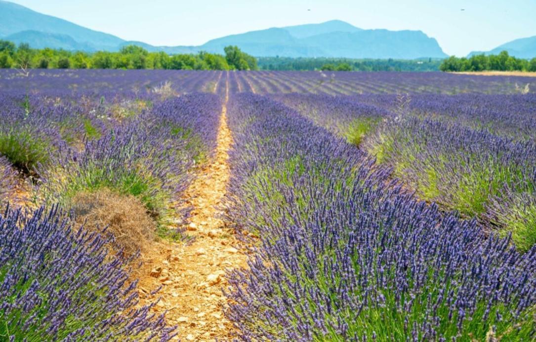 Fuvolea, Maison De Vacances A 15 Min Du Centre D'Aix-En-Provence, Piscine Chauffee En Saison - Jardin - Parking Prive Gratuit Fuveau Luaran gambar
