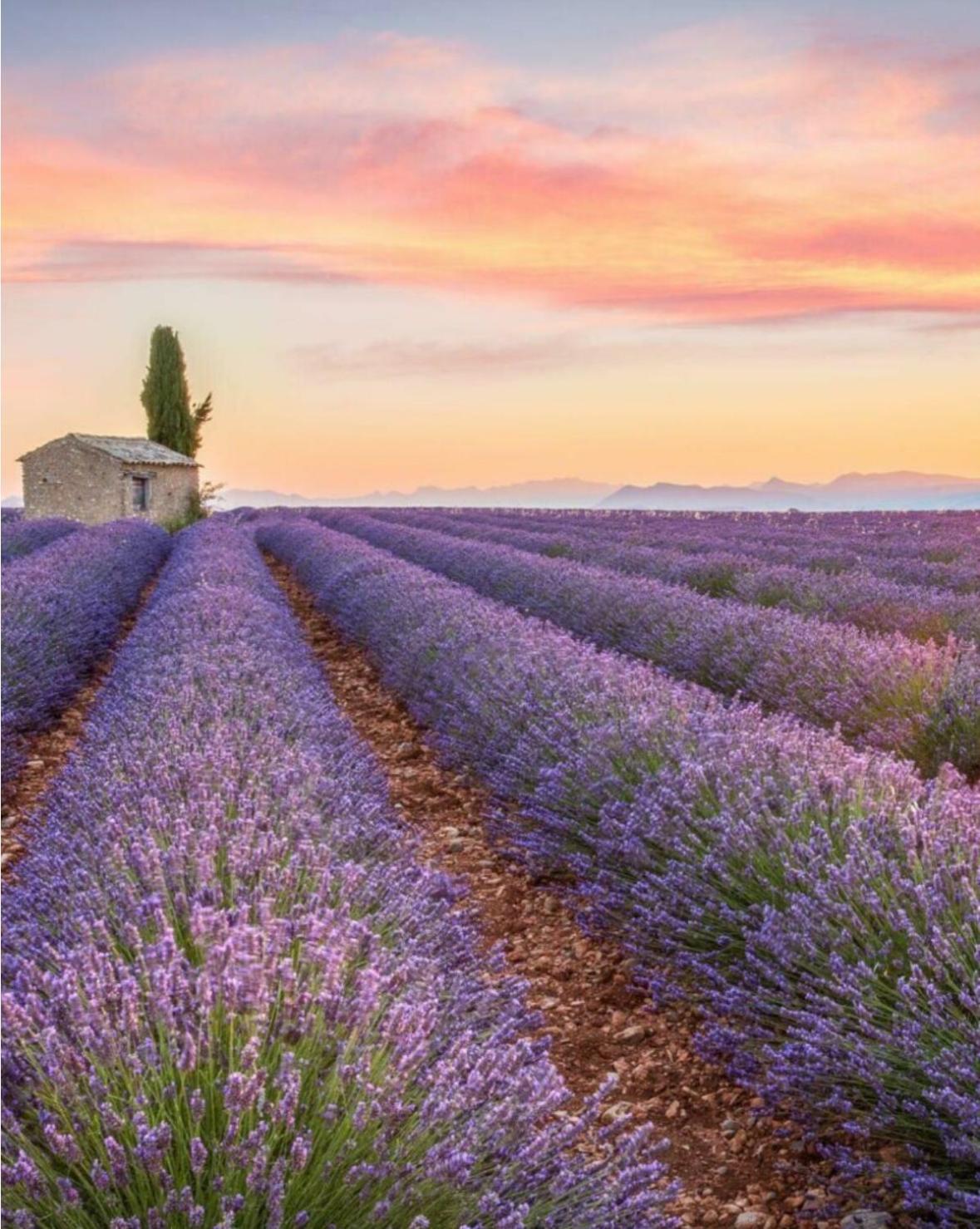 Fuvolea, Maison De Vacances A 15 Min Du Centre D'Aix-En-Provence, Piscine Chauffee En Saison - Jardin - Parking Prive Gratuit Fuveau Luaran gambar